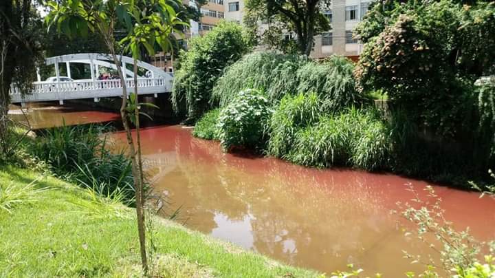 Cor vermelha chama atenção no Rio Bengalas