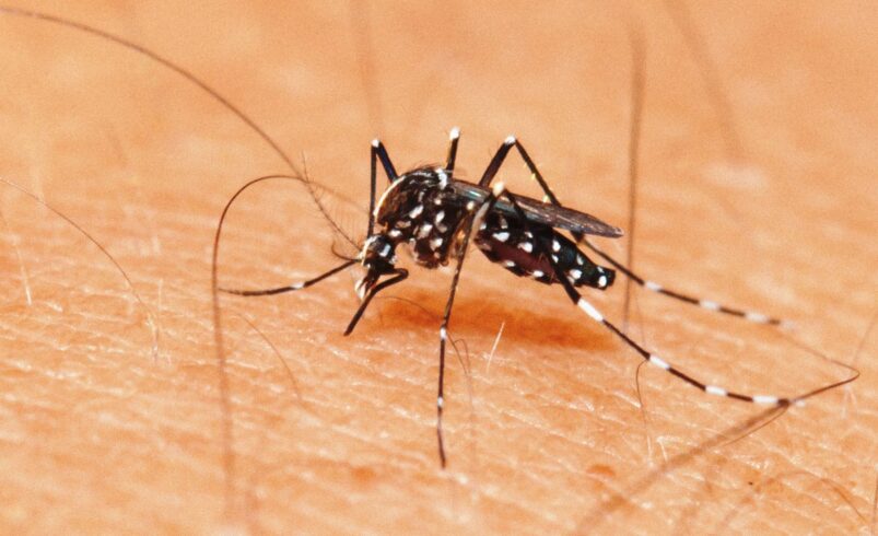 Nova Friburgo recebe semana de combate ao aedes aegypti