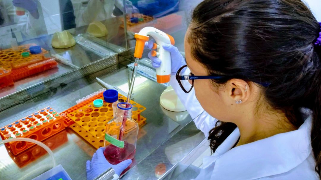 Pesquisadores da UFF Nova Friburgo descobrem agrotóxicos que retém gordura nas células animais