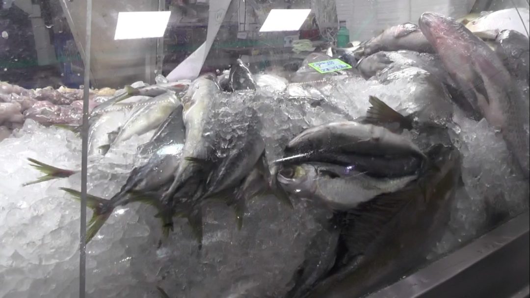 Procura por peixes aumenta durante a Semana Santa