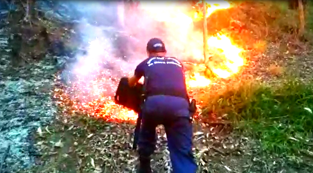Incêndio criminoso é registrado no Parque Municipal Juarez Frotté