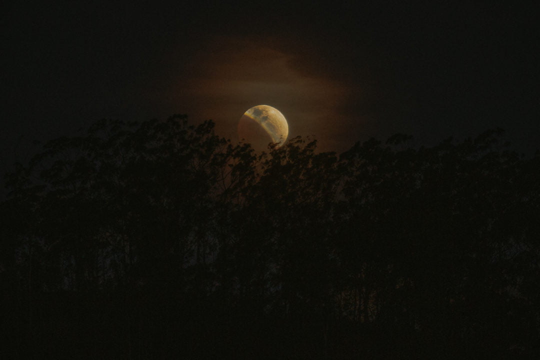 Friburguenses registram eclipse lunar parcial
