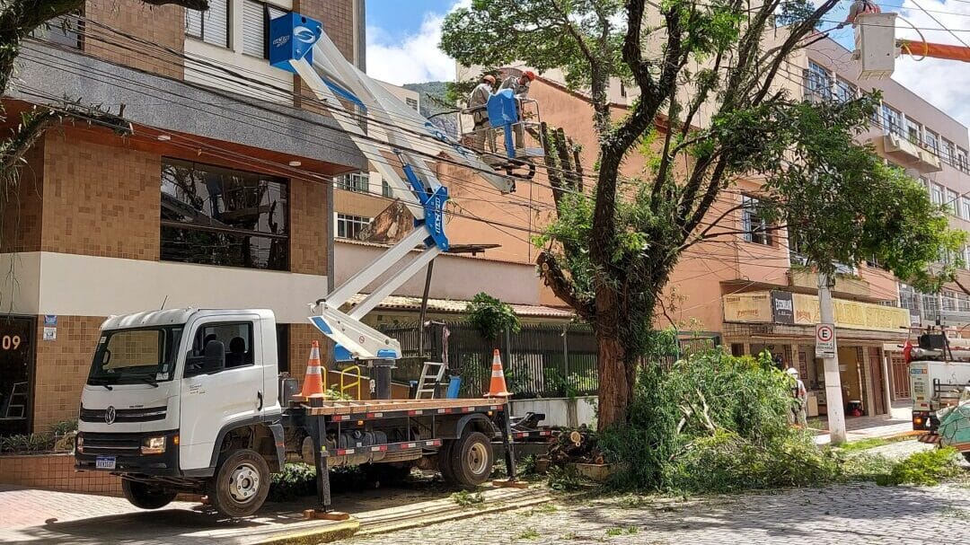 Poda de árvore causa transtorno no trânsito na manhã desta terça, 02