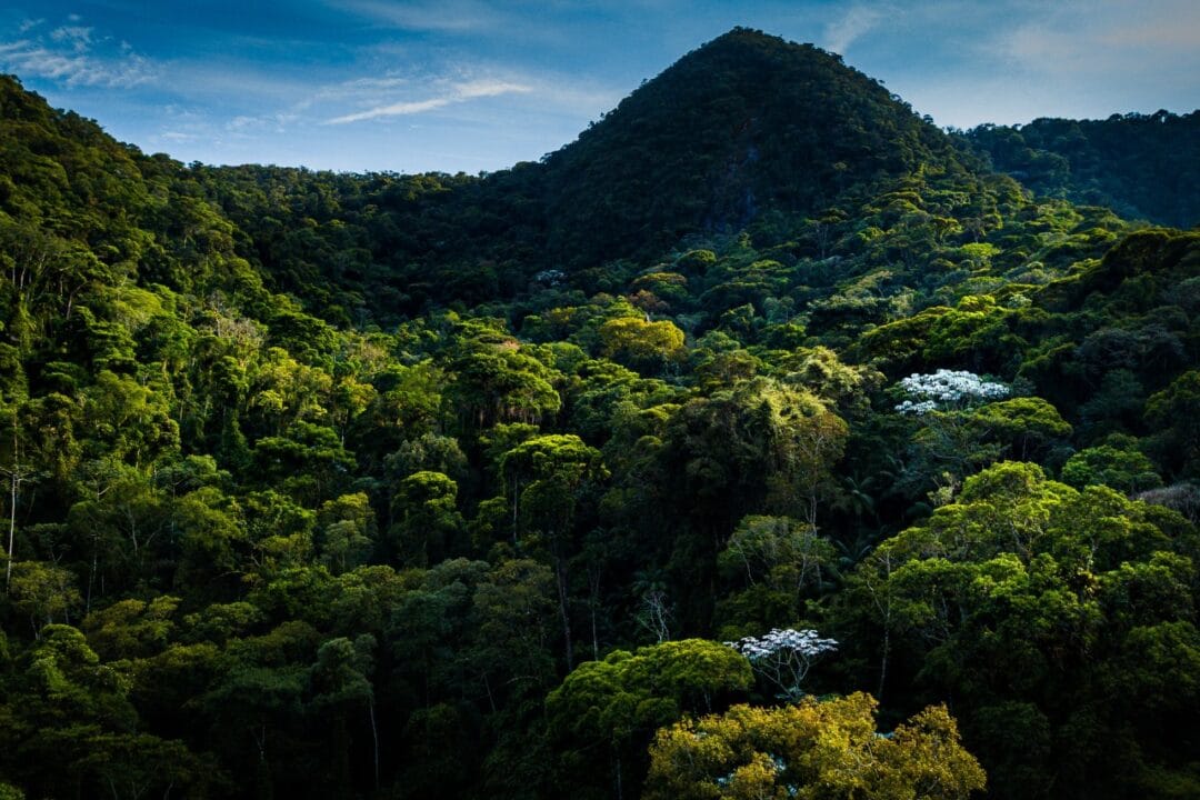 Rio de Janeiro chega a 100ª Reserva Particular de Patrimônio Ambiental, Nova Friburgo é líder no estado