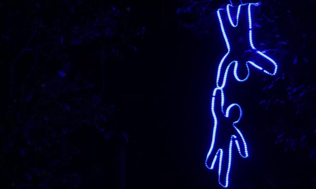 Festival de Luzes: Nova Friburgo recebe primeira edição do ‘Lumi Festival’