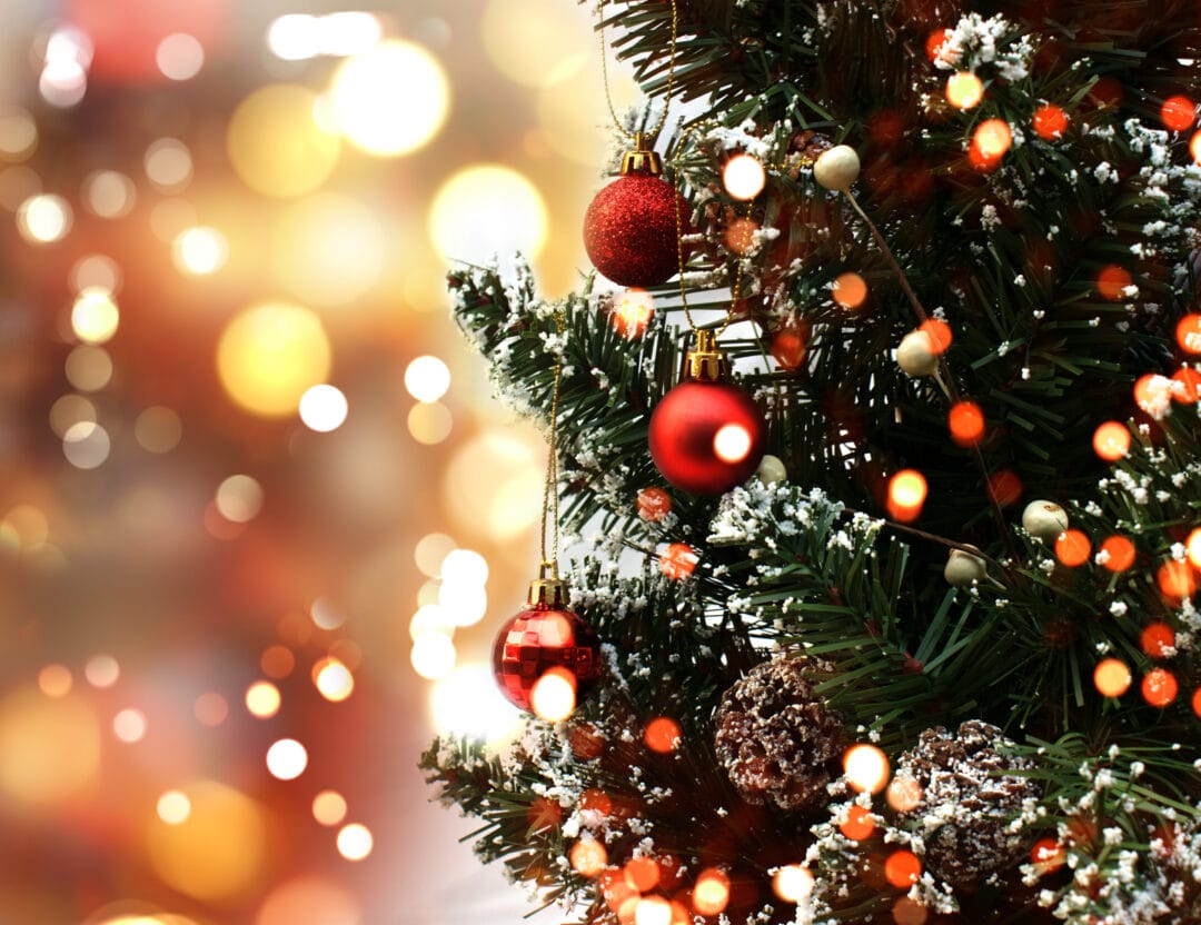 “Encanto de Natal”: Com licitação praticamente deserta, município não consegue nem um terço da decoração para o evento