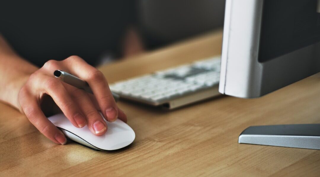 7ª Edição da Feira Virtual de Estágios e Empregos oferece mais de 100 mil oportunidades