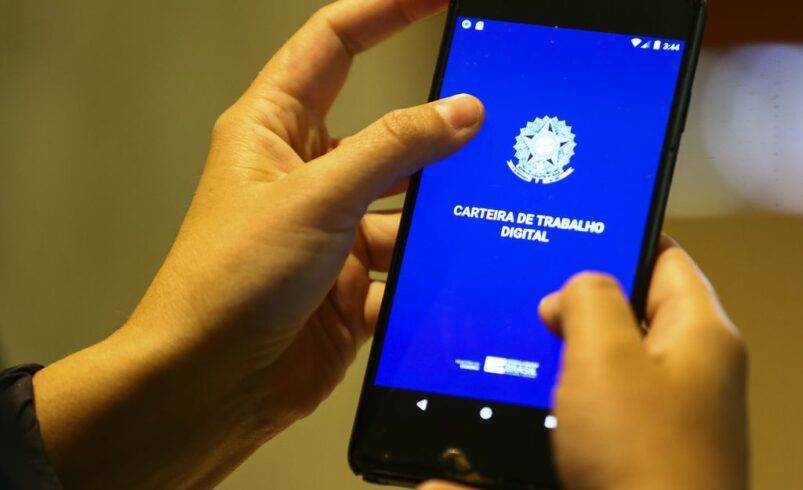Taxa de desemprego caiu para 8% no segundo trimestre de 2023
