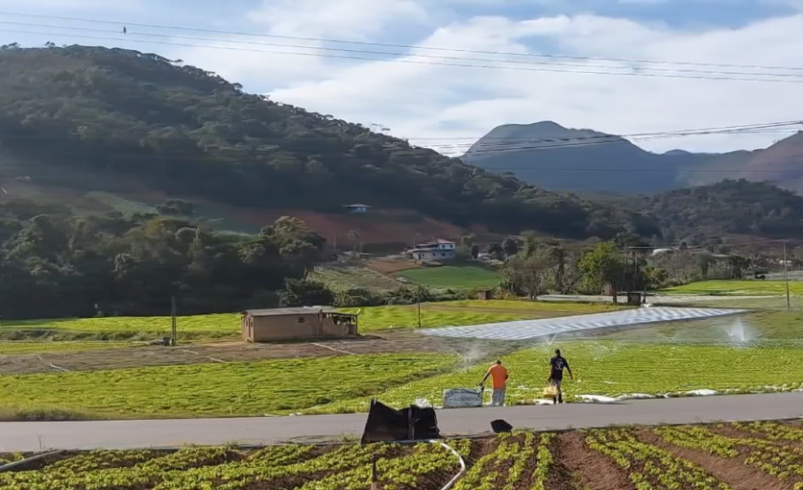 Governo federal cria acordo para impulsionar agricultura familiar