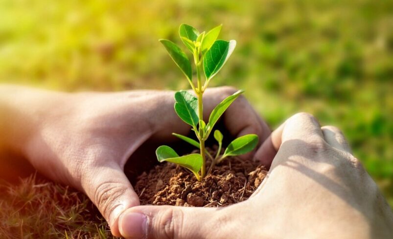 Sustentabilidade Ambiental: Um compromisso com o futuro do planeta