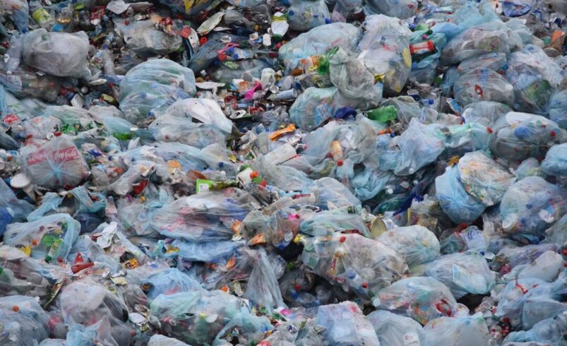 Sob o peso do plástico: o impacto profundo das sacolas plásticas no meio ambiente e em nossas vidas