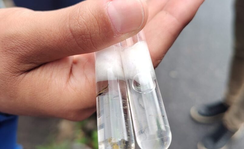 Dengue em Nova Friburgo: sobe para 364 o número de casos na cidade, um crescimento de 127 positivados em uma semana