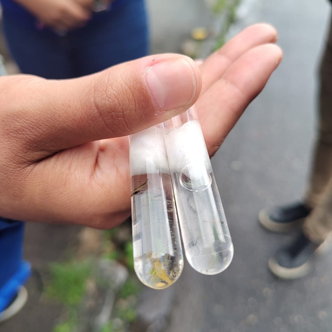 Dengue em Nova Friburgo: sobe para 364 o número de casos na cidade, um crescimento de 127 positivados em uma semana