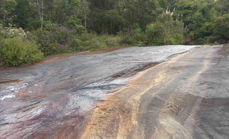 Inea reconhece mais uma RPPN,Reserva Particular do Patrimônio Natural, em Nova Friburgo
