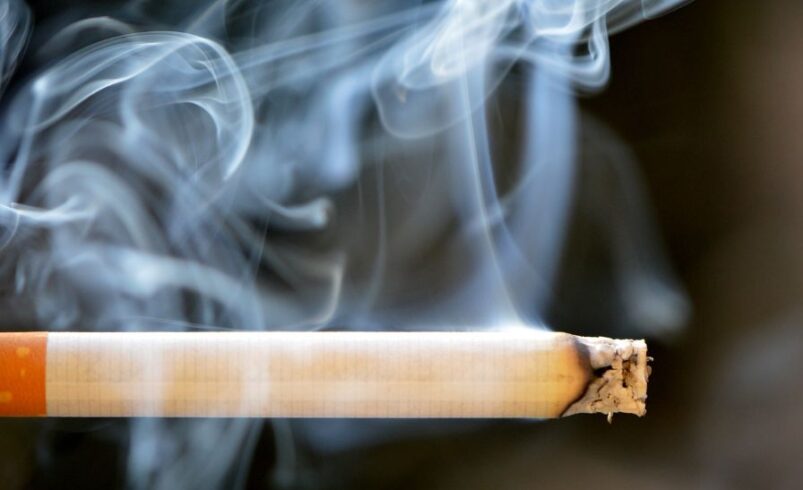 O impacto ambiental invisível das guimbas de cigarro: uma ameaça silenciosa ao meio ambiente e à saúde humana