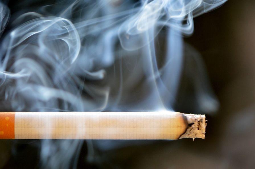 O impacto ambiental invisível das guimbas de cigarro: uma ameaça silenciosa ao meio ambiente e à saúde humana