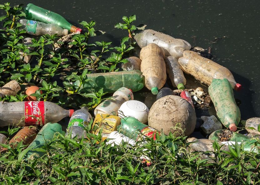 Garrafas Pet: o impacto silencioso que plastifica o mundo