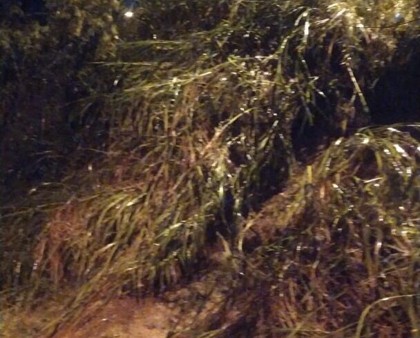 Defesa Civil de Nova Friburgo registra 6 ocorrências em virtude da chuva desta última quarta, 6