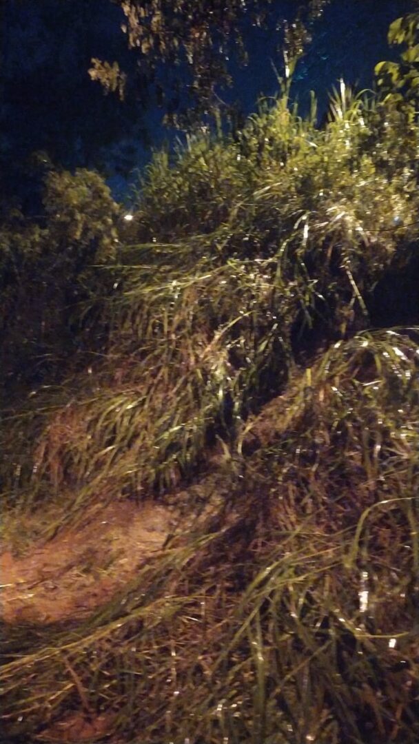 Defesa Civil de Nova Friburgo registra 6 ocorrências em virtude da chuva desta última quarta, 6