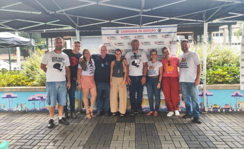 Sucesso na última campanha de adoção da Ssubea : 16 cães ganharam novos lares em Nova Friburgo