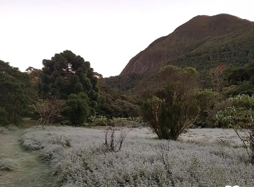 Onda de frio: Nova Friburgo registra primeira geada de 2024 no Parque Estadual dos Três Picos