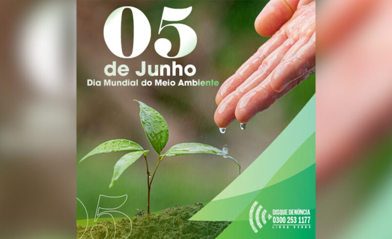 No Dia Mundial do Meio Ambiente, o ”Linha Verde”,  programa de denúncia do Estado do Rio, divulga o balanço das ações
