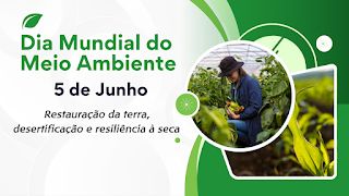 Dia Mundial do Meio Ambiente: Restauração da terra, desertificação e resiliência à seca