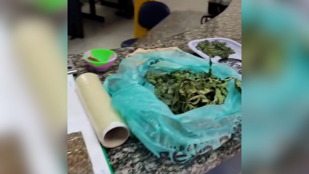 Polícia militar realiza apreensão de drogas e caderno de anotações em Nova Friburgo