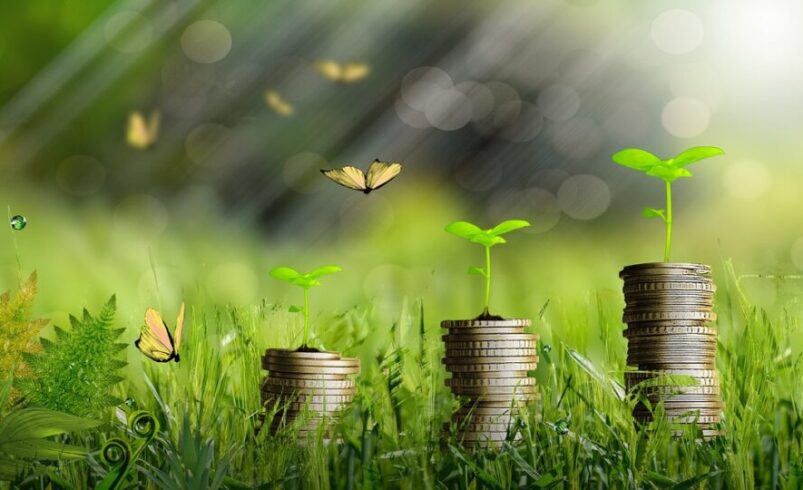 Empresa Sustentável: Investindo no Futuro do Planeta e dos Negócios
