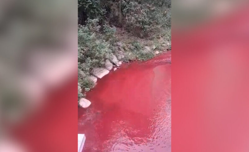 MPRJ abre investigação sobre rio poluído em Nova Friburgo