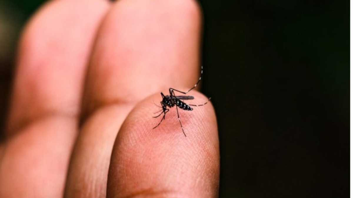 Dengue tipo 3: Rio de Janeiro confirma primeiro caso em 2025
