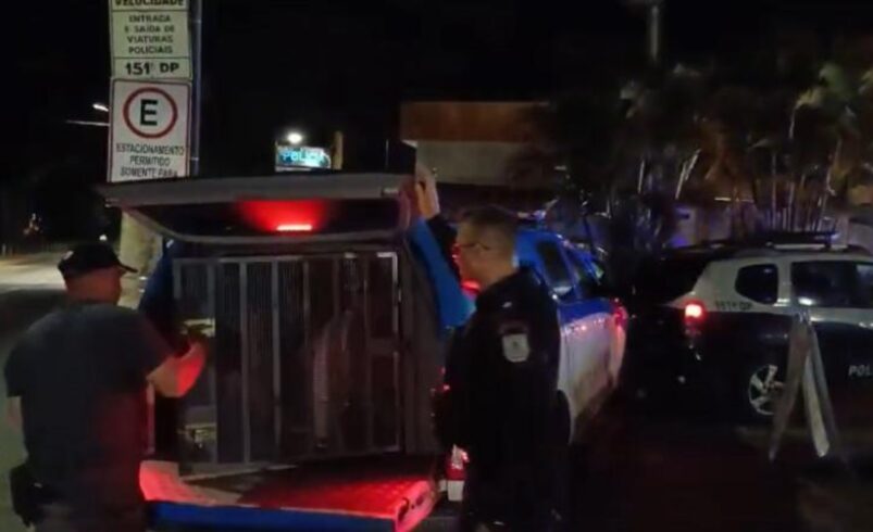 Polícia prende 4 e apreende 6 menores envolvidos com o tráfico