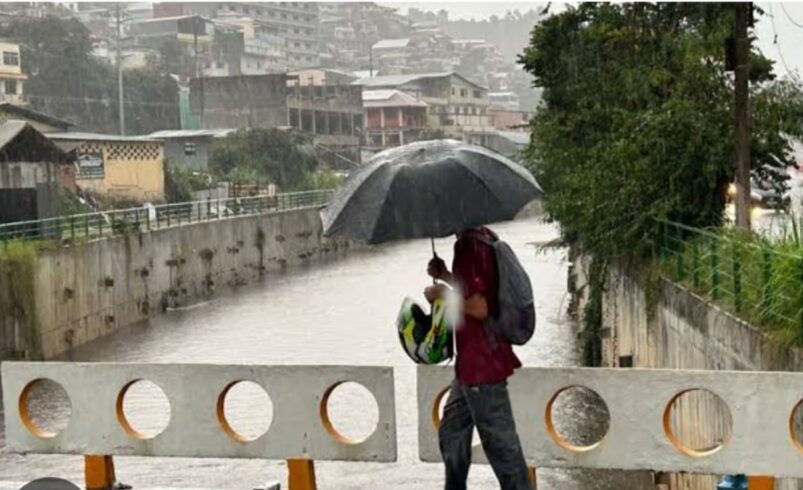 Previsão do Tempo para Nova Friburgo: fim de semana chuvoso e semana seguinte com sol