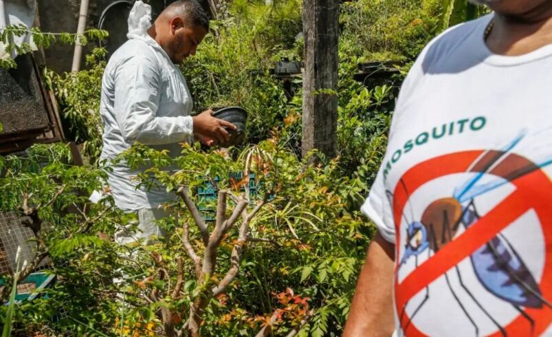 Dia D de combate à dengue - 2024