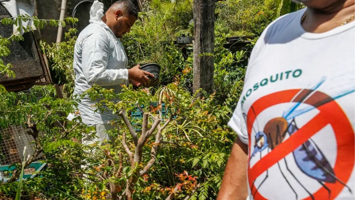 Governo Federal promove Dia D de combate à dengue para prevenir epidemias em 2024
