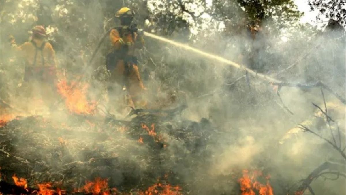 Rio de Janeiro institui sistema para prevenção e combate a incêndios florestais