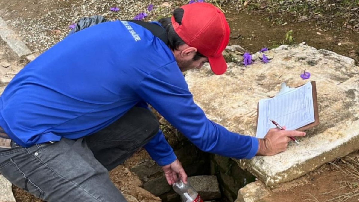 Aedes Aegypti em Friburgo: pesquisa indica alto risco