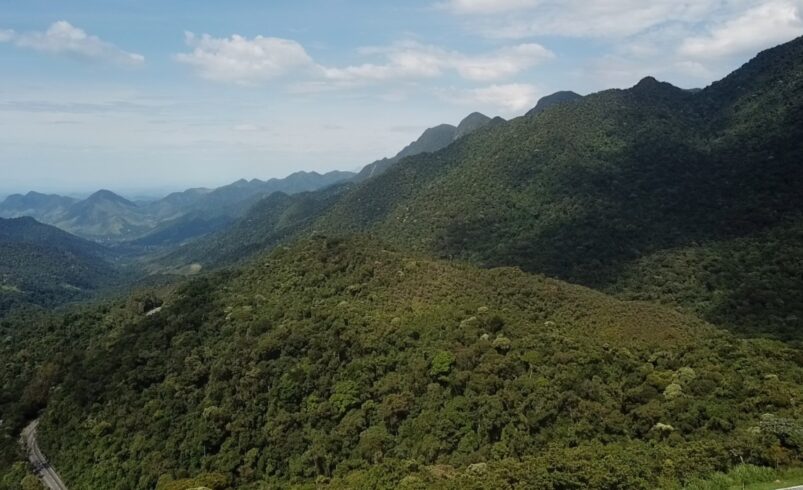 COMMAM-NF convoca ONGs de Meio Ambiente para Cadastro
