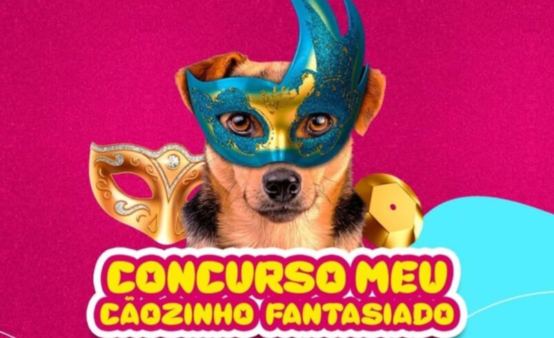 Concurso Meu Cãozinho Fantasiado agita o Carnaval de Friburgo