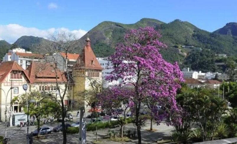 Nova Friburgo recebe título de Cidade Arborizada do Mundo 2024