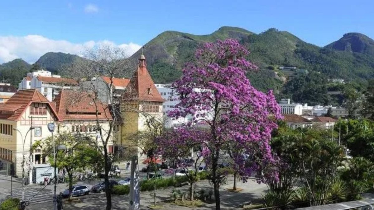 Nova Friburgo recebe título de Cidade Arborizada do Mundo 2024