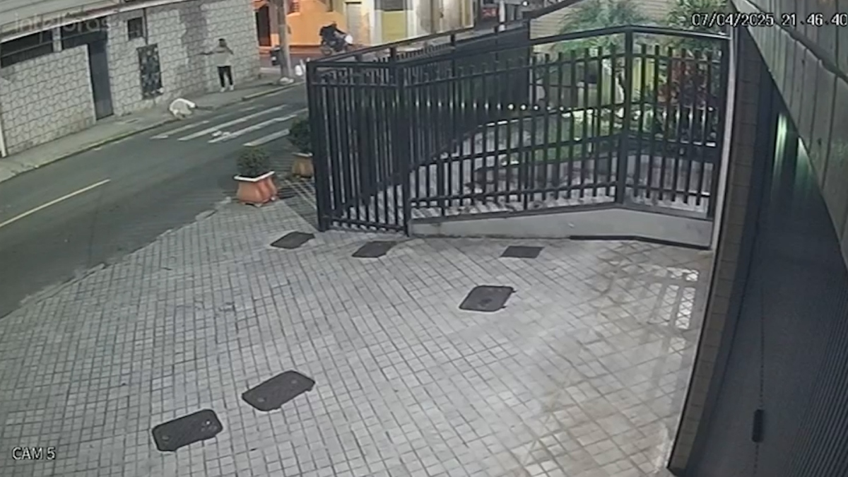 Câmeras flagram atropelamento de idoso e fuga em Friburgo