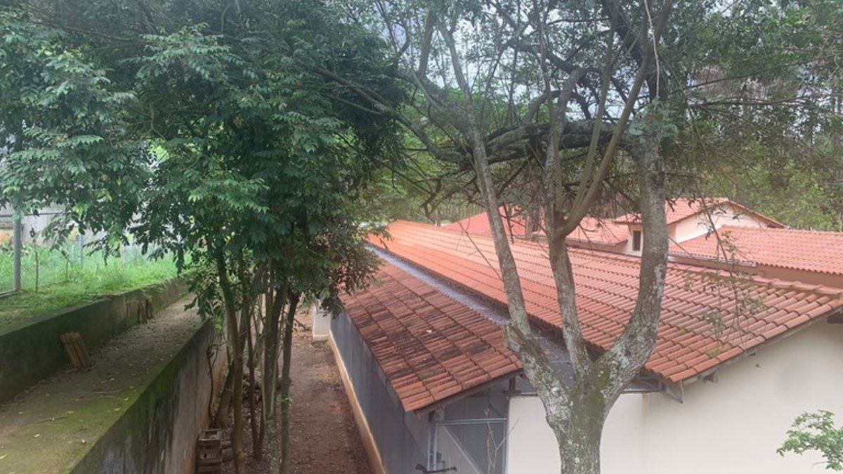 Maus-tratos: MPF cobra Ibama por situação no CETAS-RJ