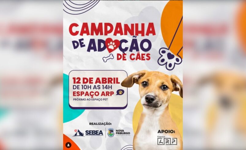 campanha de adoção