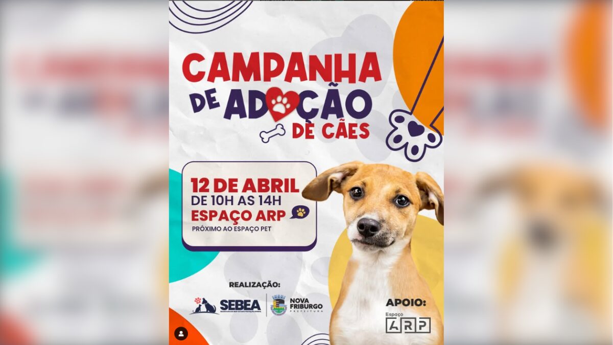 Nova Friburgo promove campanha de adoção de cães no Espaço ARP