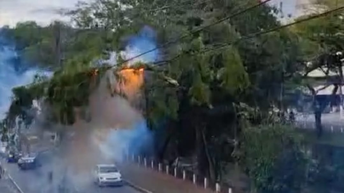 Galhos de árvore caem sob fiação elétrica e colocam pedestres em risco em Friburgo