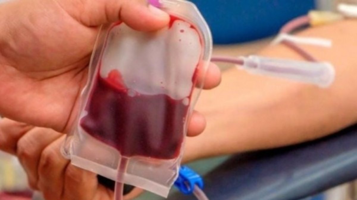 Doação de Sangue acontece neste sábado em Nova Friburgo