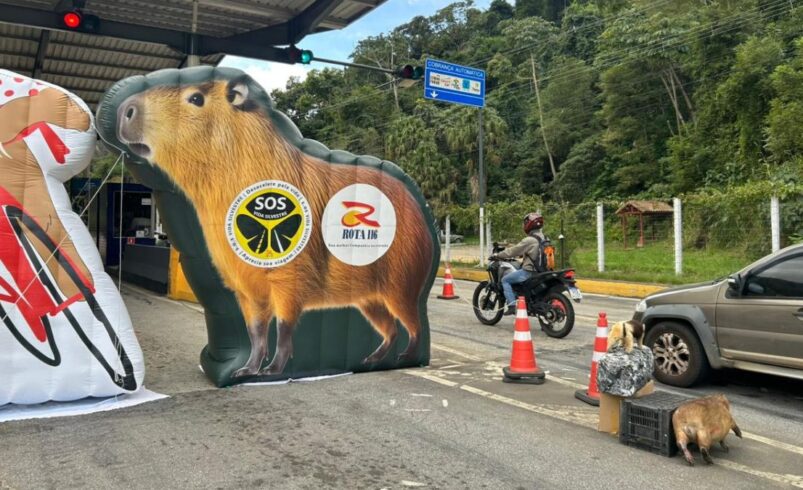 Rota 116 promove ação do Maio Amarelo em Furnas