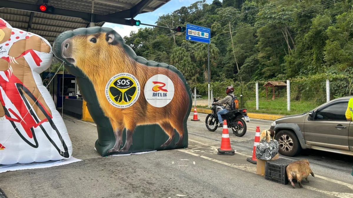 Rota 116 promove ação do Maio Amarelo em Furnas