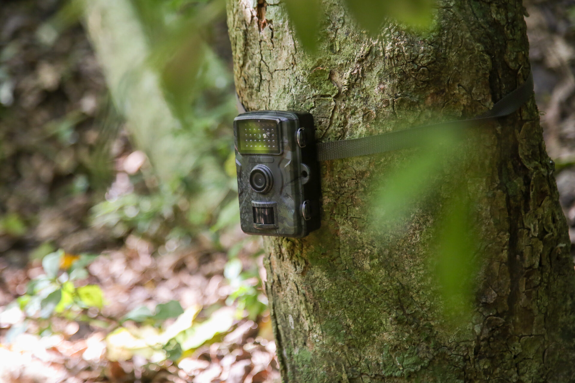 Parque dos Três Picos receberá câmeras para monitorar fauna silvestre